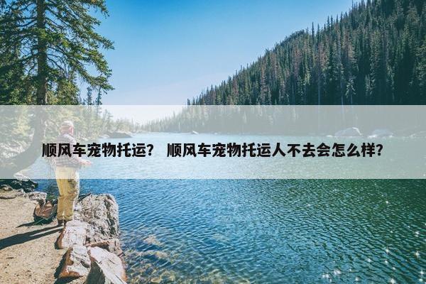 顺风车宠物托运？ 顺风车宠物托运人不去会怎么样？