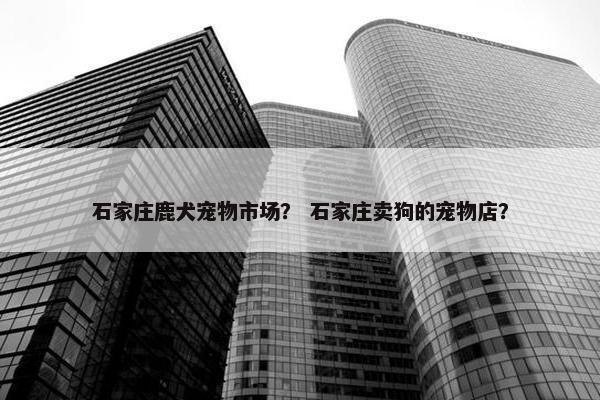 石家庄鹿犬宠物市场？ 石家庄卖狗的宠物店？