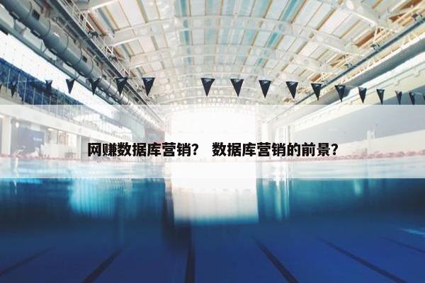 网赚数据库营销？ 数据库营销的前景？