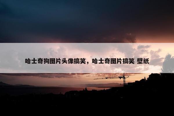 哈士奇狗图片头像搞笑，哈士奇图片搞笑 壁纸