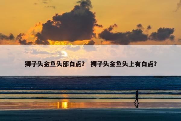 狮子头金鱼头部白点？ 狮子头金鱼头上有白点？