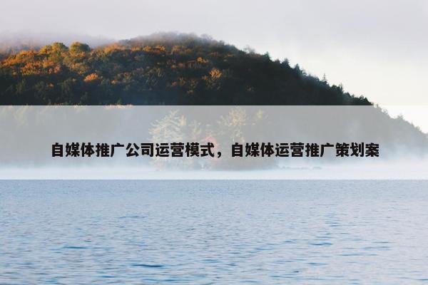 自媒体推广公司运营模式，自媒体运营推广策划案
