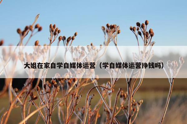 大姐在家自学自媒体运营（学自媒体运营挣钱吗）
