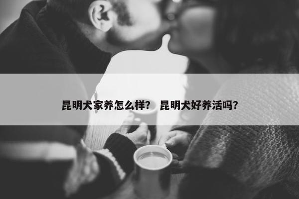 昆明犬家养怎么样？ 昆明犬好养活吗？
