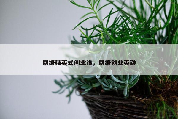 网络精英式创业谁，网络创业英雄