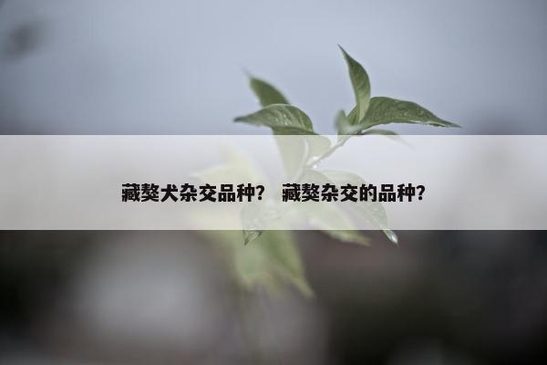 藏獒犬杂交品种？ 藏獒杂交的品种？