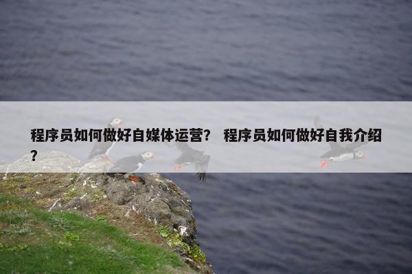 程序员如何做好自媒体运营？ 程序员如何做好自我介绍？