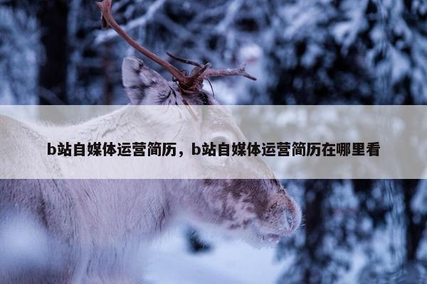 b站自媒体运营简历，b站自媒体运营简历在哪里看