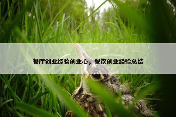 餐厅创业经验创业心，餐饮创业经验总结