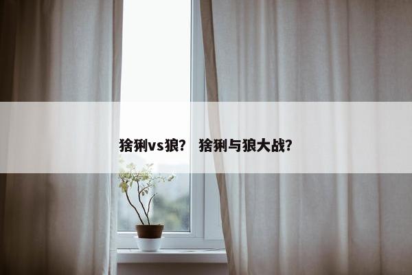 猞猁vs狼？ 猞猁与狼大战？