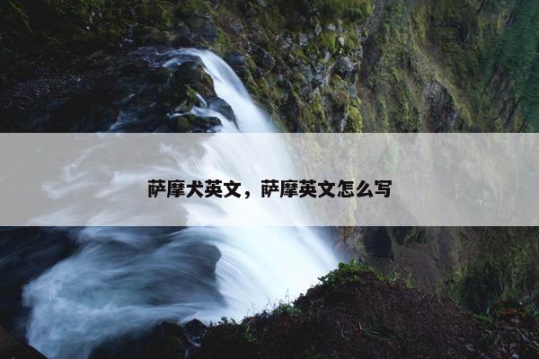 萨摩犬英文，萨摩英文怎么写