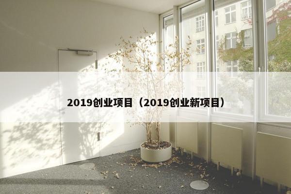 2019创业项目（2019创业新项目）