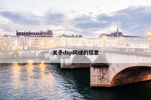 关于dsp网赚的信息