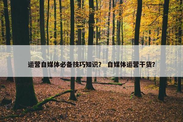 运营自媒体必备技巧知识？ 自媒体运营干货？