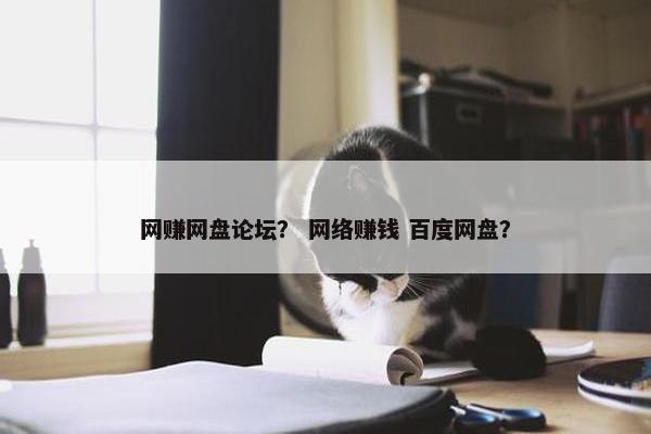 网赚网盘论坛？ 网络赚钱 百度网盘？