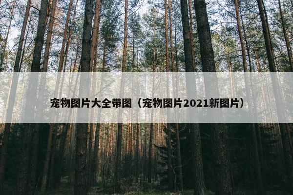 宠物图片大全带图（宠物图片2021新图片）
