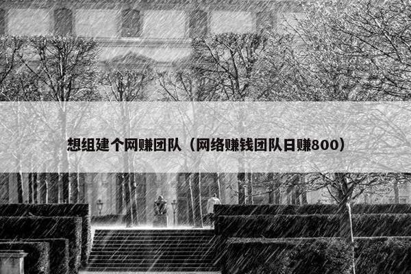 想组建个网赚团队（网络赚钱团队日赚800）
