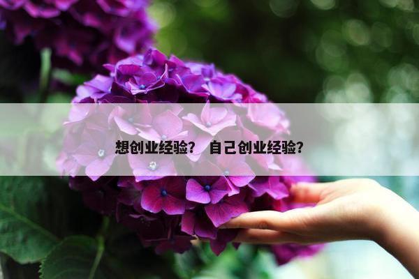 想创业经验？ 自己创业经验？