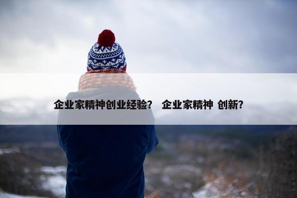 企业家精神创业经验？ 企业家精神 创新？