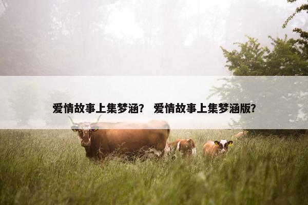 爱情故事上集梦涵？ 爱情故事上集梦涵版？