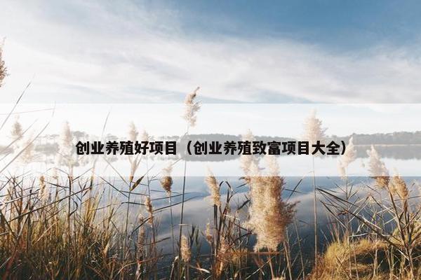 创业养殖好项目（创业养殖致富项目大全）
