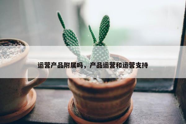 运营产品附属吗，产品运营和运营支持