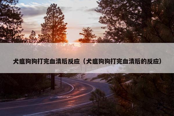 犬瘟狗狗打完血清后反应（犬瘟狗狗打完血清后的反应）