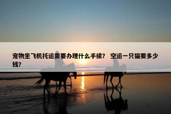 宠物坐飞机托运需要办理什么手续？ 空运一只猫要多少钱？