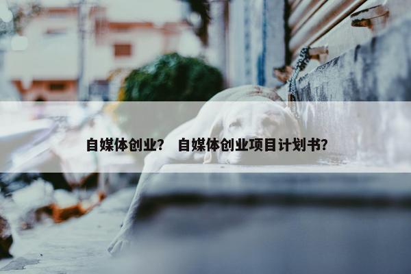 自媒体创业？ 自媒体创业项目计划书？