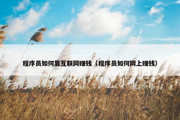 程序员如何靠互联网赚钱（程序员如何网上赚钱）