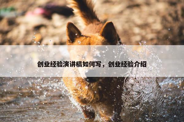 创业经验演讲稿如何写，创业经验介绍