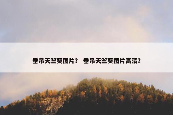 垂吊天竺葵图片？ 垂吊天竺葵图片高清？
