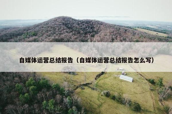 自媒体运营总结报告（自媒体运营总结报告怎么写）