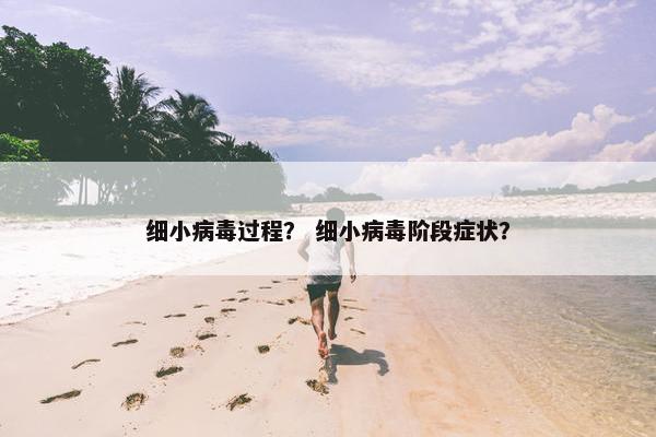 细小病毒过程？ 细小病毒阶段症状？