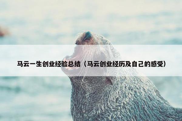 马云一生创业经验总结（马云创业经历及自己的感受）
