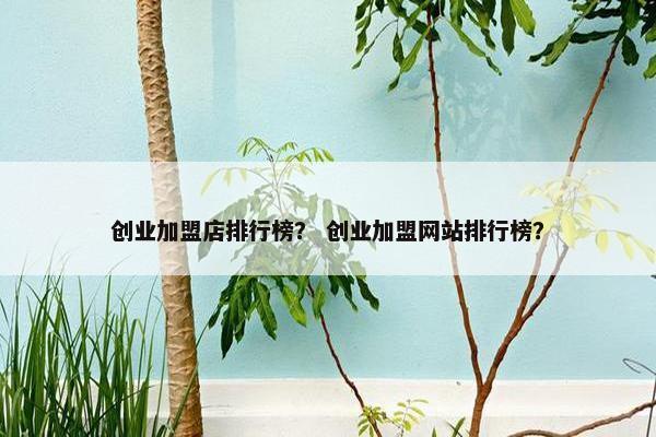 创业加盟店排行榜？ 创业加盟网站排行榜？