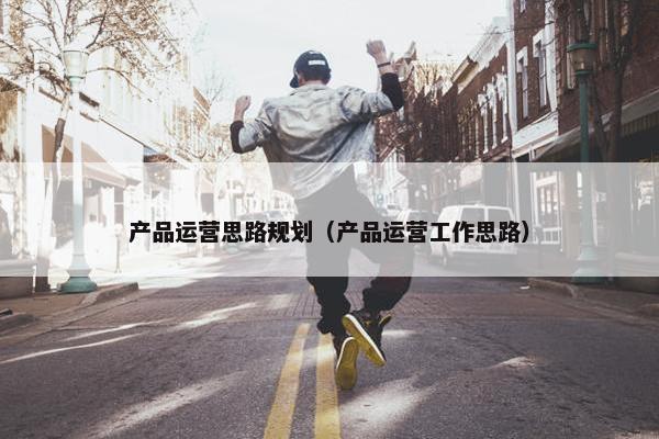 产品运营思路规划（产品运营工作思路）