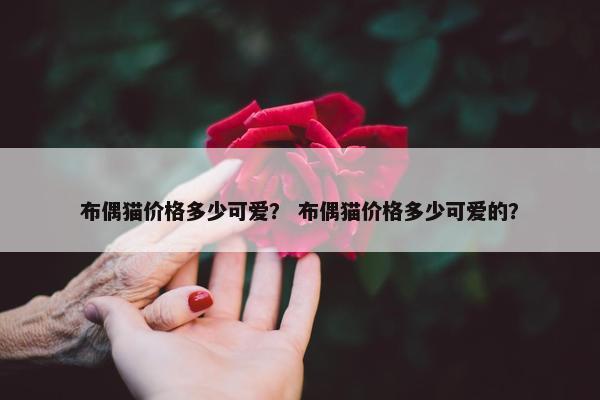 布偶猫价格多少可爱？ 布偶猫价格多少可爱的？