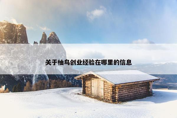 关于柚鸟创业经验在哪里的信息