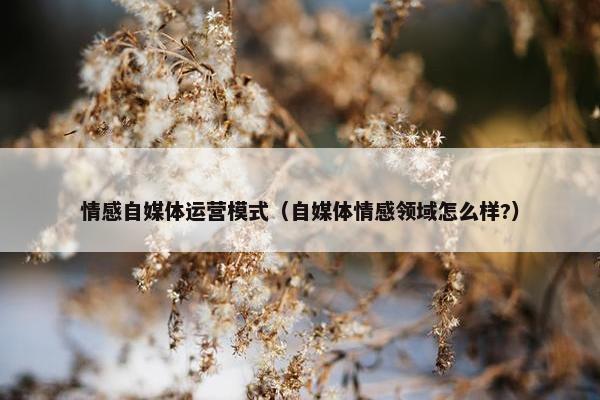 情感自媒体运营模式（自媒体情感领域怎么样?）