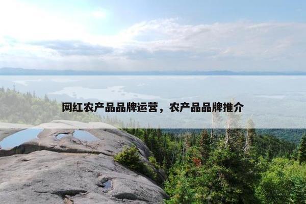 网红农产品品牌运营，农产品品牌推介