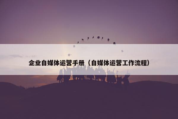 企业自媒体运营手册（自媒体运营工作流程）