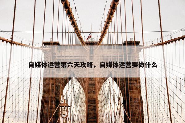 自媒体运营第六天攻略，自媒体运营要做什么