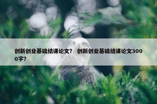 创新创业基础结课论文？ 创新创业基础结课论文3000字？