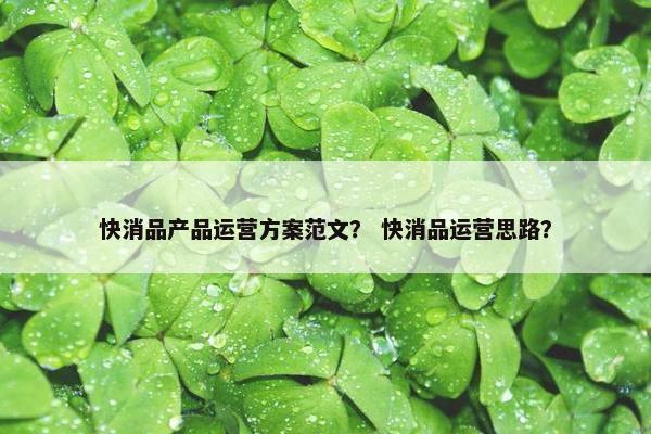 快消品产品运营方案范文？ 快消品运营思路？