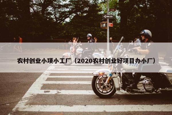 农村创业小项小工厂（2020农村创业好项目办小厂）