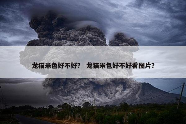 龙猫米色好不好？ 龙猫米色好不好看图片？