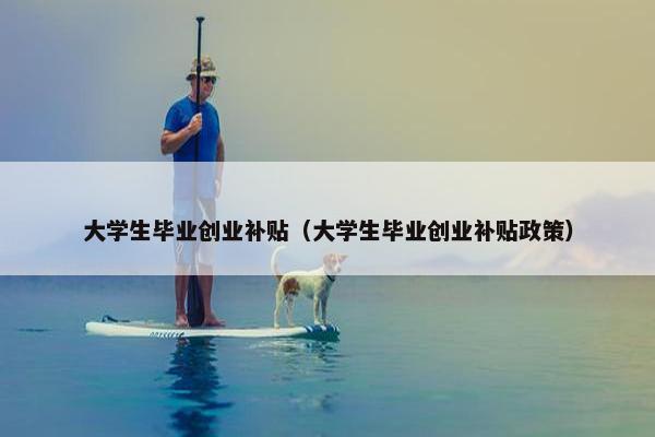 大学生毕业创业补贴（大学生毕业创业补贴政策）
