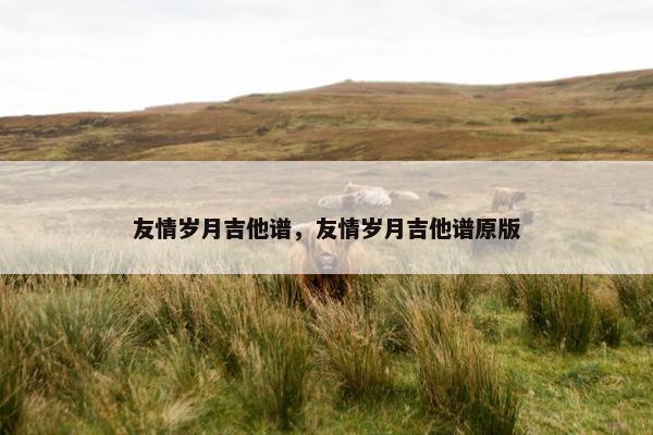 友情岁月吉他谱，友情岁月吉他谱原版