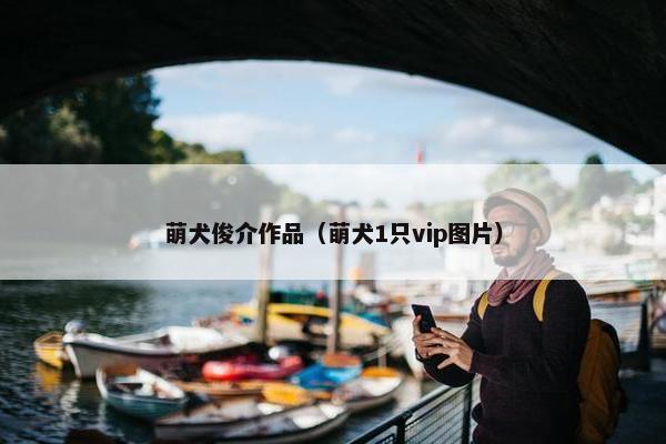 萌犬俊介作品（萌犬1只vip图片）